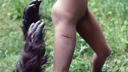 Порно фильм Зверь | La Bete | The Beast 1975 смотреть онлайн