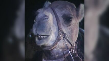 Древние секреты Камасутры, порно видео на русском языке