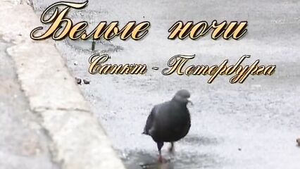 Белые Ночи Санкт-Петербурга. Ночь Вторая — порно фильм