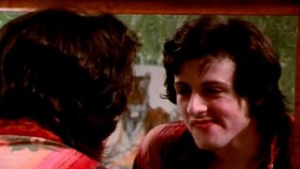 Итальянский жеребец (Вечеринка у Китти и Стада) порнофильм с переводом