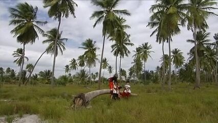 Приключения Робинзона Крузо на острове греха (с русским переводом)