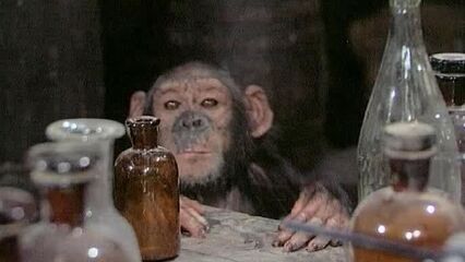 Робинзон и его дикие рабыни - немецкий эротический фильм