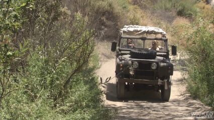 Вечное Проклятие | Curse Eternal, с русским переводом