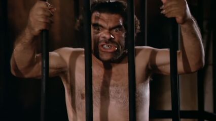 Зверь в горячке | La Bestia in Calore (1977) эрофильм