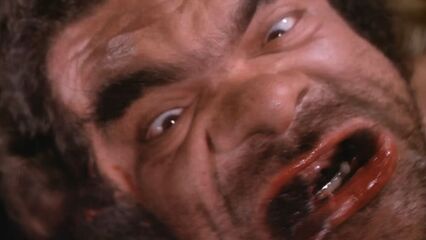 Зверь в горячке | La Bestia in Calore (1977) эрофильм