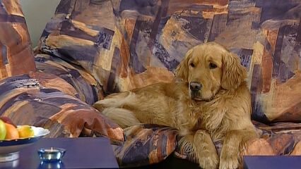 История любви | Love Story (2002) с русским переводом