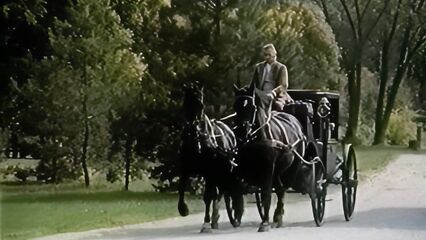 Эротические приключения Зорро (1996) с русским переводом